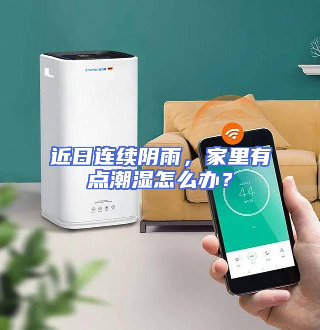 近日连续阴雨，家里有点潮湿怎么办？