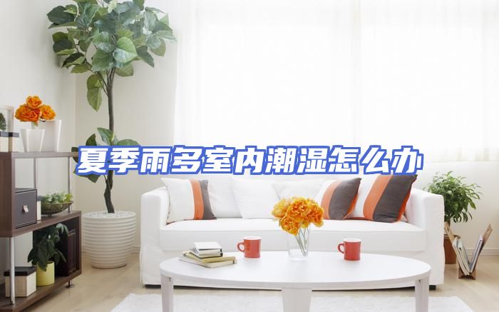 夏季雨多室内潮湿怎么办