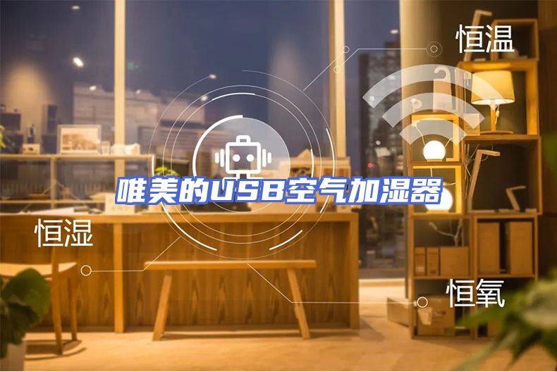 唯美的USB空气加湿器
