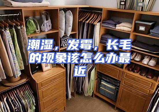潮湿，发霉，长毛的现象该怎么办最近