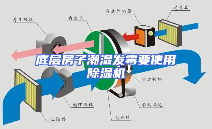 底层房子潮湿发霉要使用除湿机