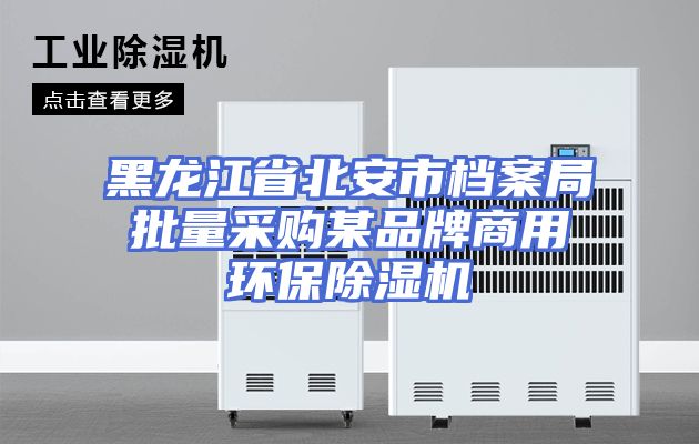 黑龙江省北安市档案局批量采购某品牌商用环保除湿机