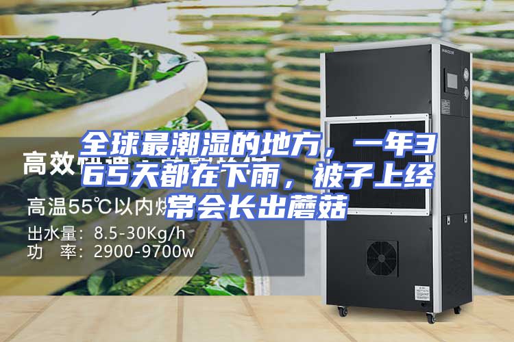 全球最潮湿的地方，一年365天都在下雨，被子上经常会长出蘑菇
