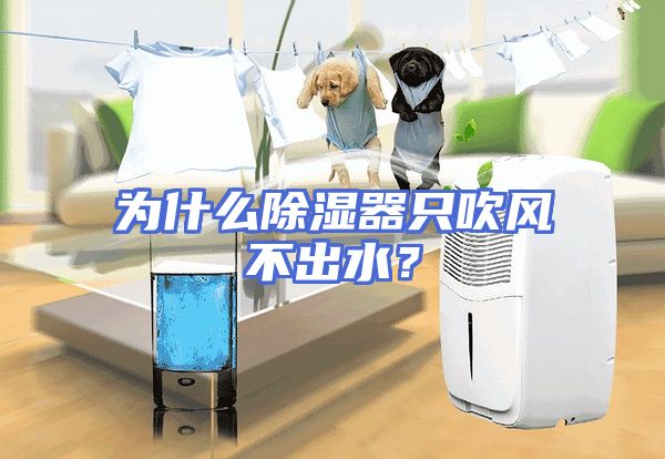 为什么除湿器只吹风不出水?