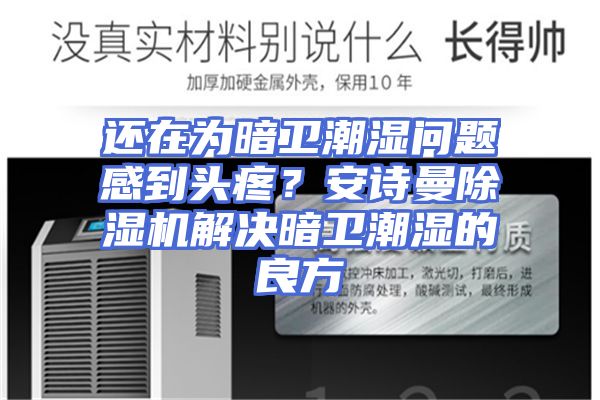 还在为暗卫潮湿问题感到头疼？安诗曼除湿机解决暗卫潮湿的良方