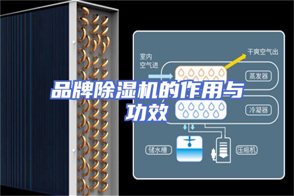品牌除湿机的作用与功效