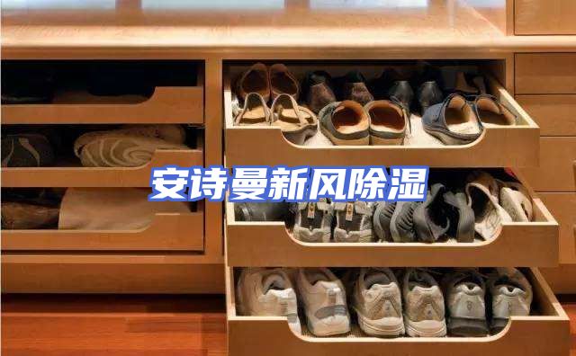 安诗曼新风除湿