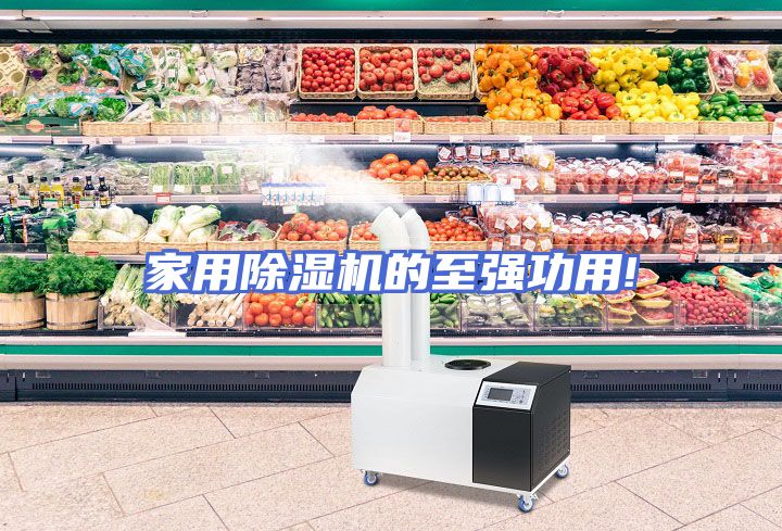 家用除湿机的至强功用!