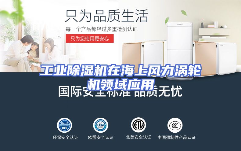工业除湿机在海上风力涡轮机领域应用