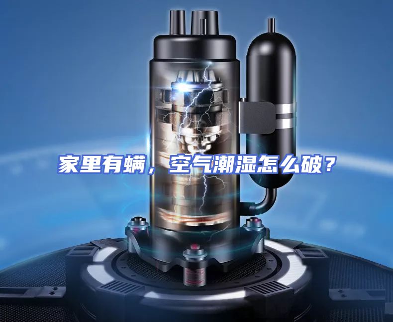 家里有螨,空气潮湿怎么破?