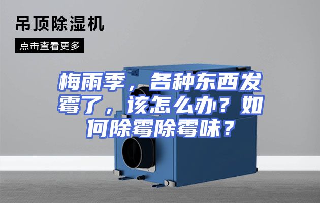 梅雨季，各种东西发霉了，该怎么办？如何除霉除霉味？