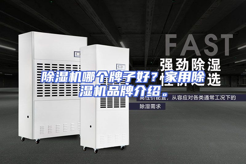 除湿机哪个牌子好？家用除湿机品牌介绍。