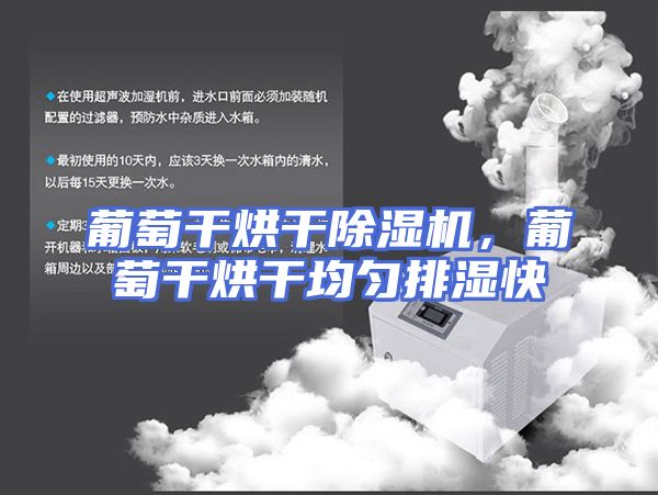 葡萄干烘干除湿机,葡萄干烘干均匀排湿快