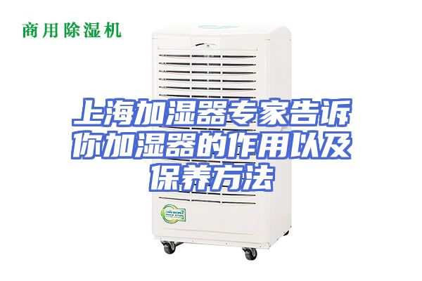 上海加湿器专家告诉你加湿器的作用以及保养方法