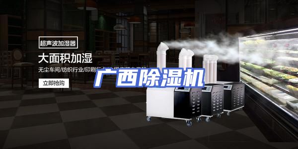广西除湿机