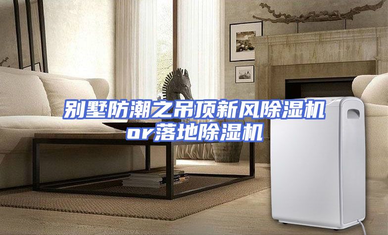 别墅防潮之吊顶新风除湿机or落地除湿机