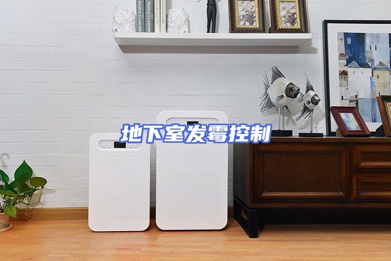 地下室发霉控制