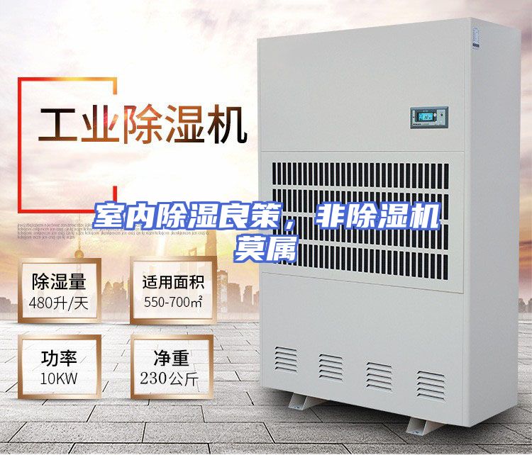 室内除湿良策，非除湿机莫属