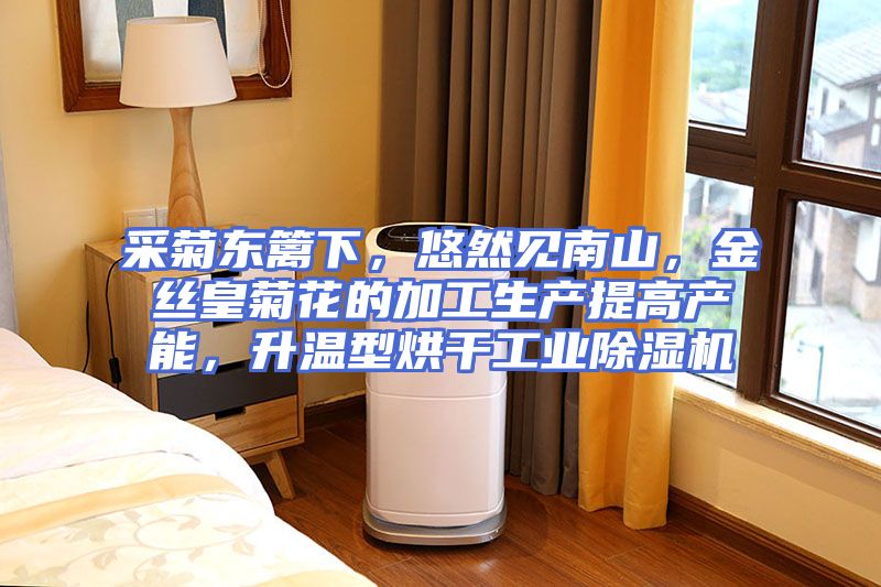 采菊东篱下，悠然见南山，金丝皇菊花的加工生产提高产能，升温型烘干工业除湿机