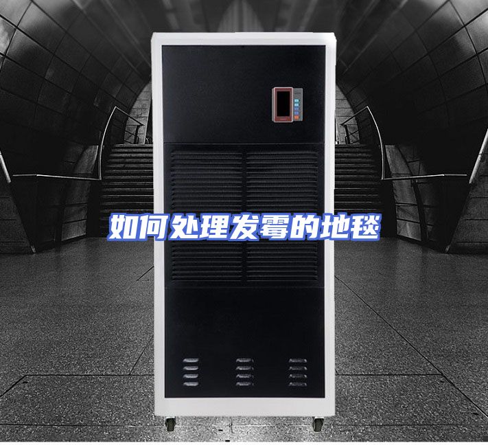 如何处理发霉的地毯