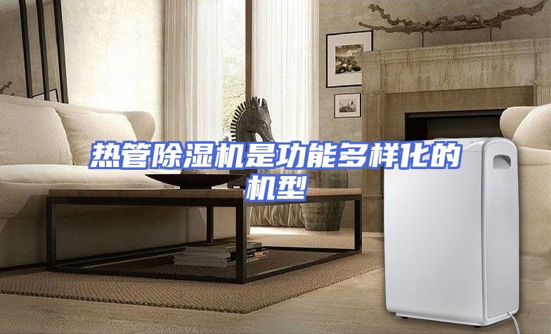热管除湿机是功能多样化的机型