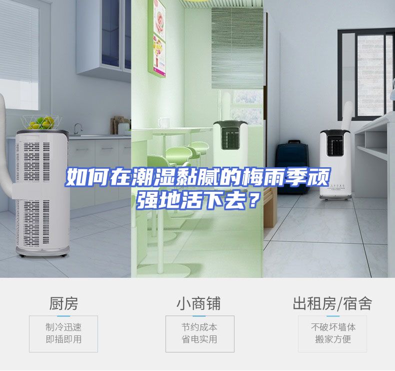 如何在潮湿黏腻的梅雨季顽强地活下去？