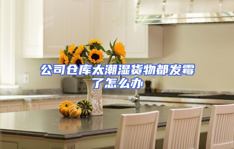 公司仓库太潮湿货物都发霉了怎么办