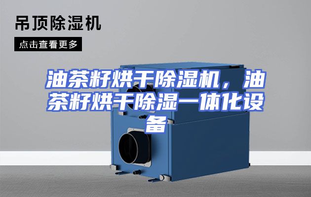 油茶籽烘干除湿机,油茶籽烘干除湿一体化设备
