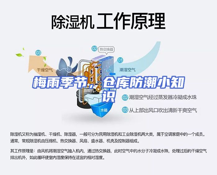 梅雨季节，仓库防潮小知识