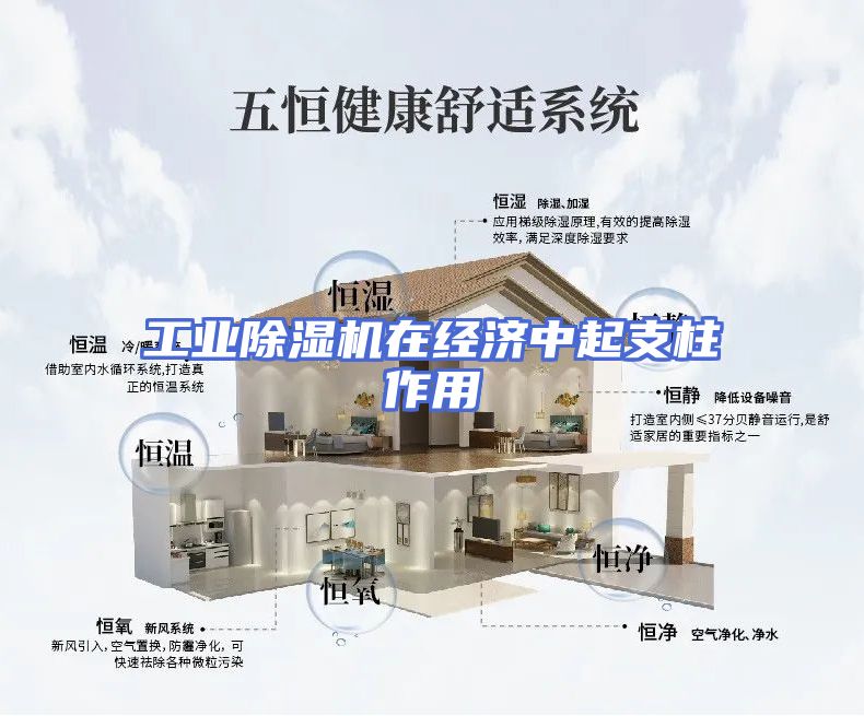 工业除湿机在经济中起支柱作用