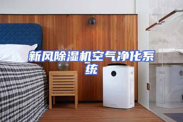 新风除湿机空气净化系统