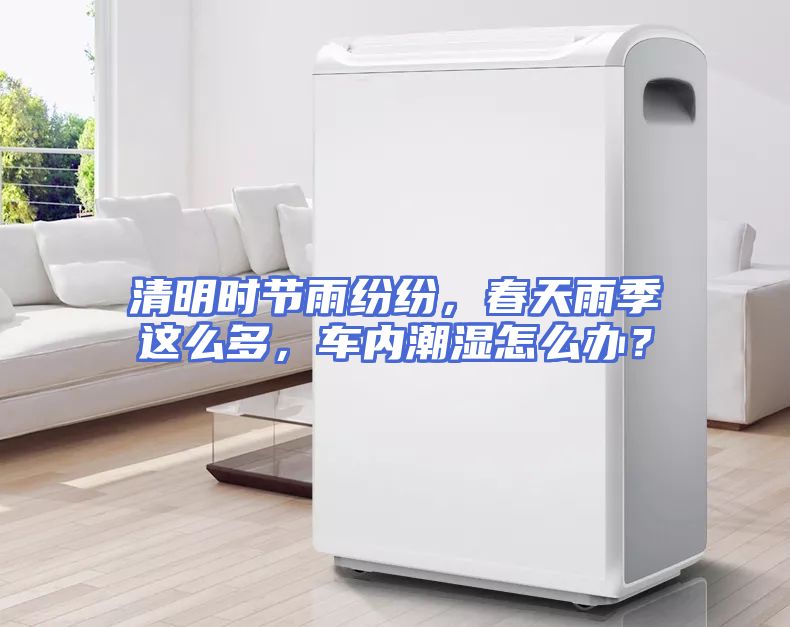 清明时节雨纷纷，春天雨季这么多，车内潮湿怎么办？