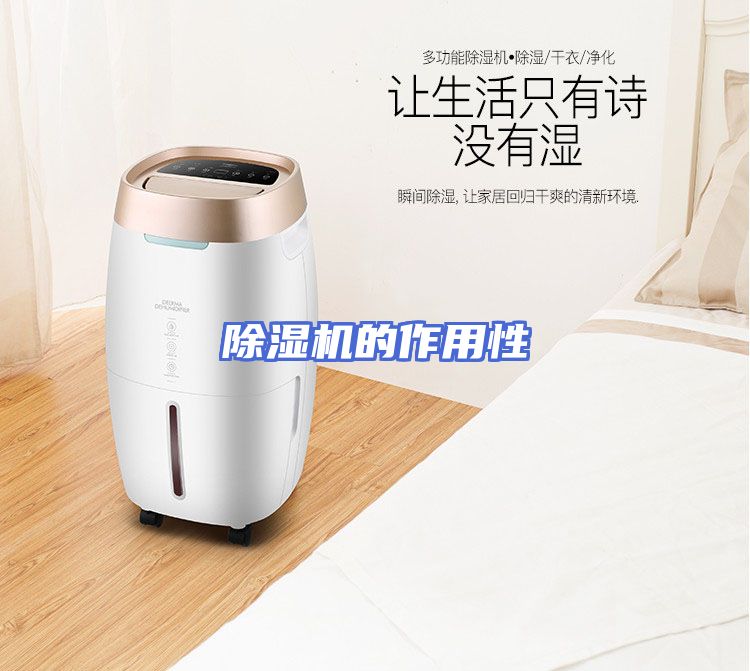 除湿机的作用性