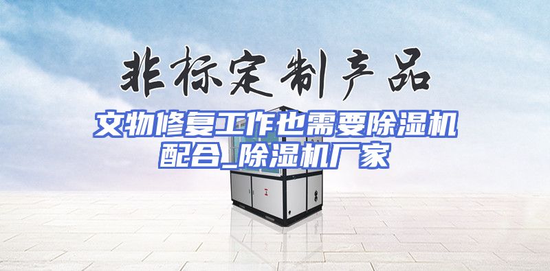 文物修复工作也需要除湿机配合_除湿机厂家