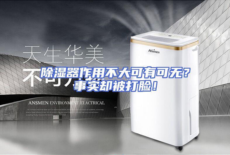 除湿器作用不大可有可无？事实却被打脸！