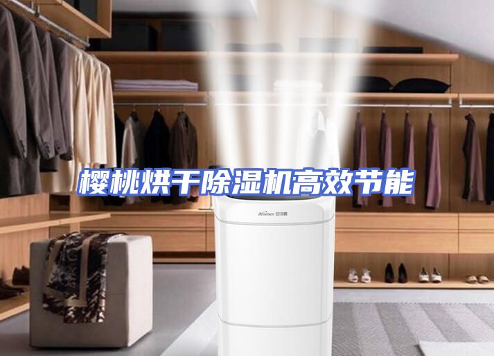 樱桃烘干除湿机高效节能