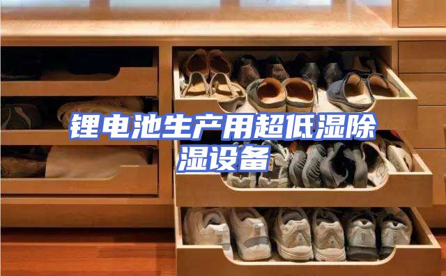 锂电池生产用超低湿除湿设备