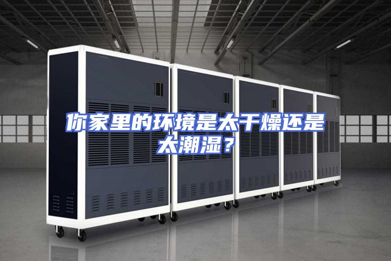 你家里的环境是太干燥还是太潮湿?