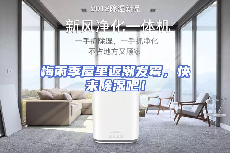 梅雨季屋里返潮发霉，快来除湿吧！