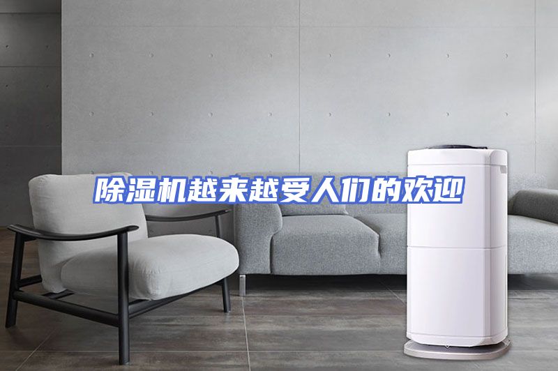 除湿机越来越受人们的欢迎