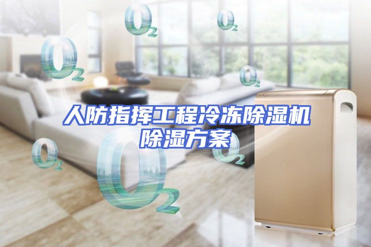 人防指挥工程冷冻除湿机除湿方案