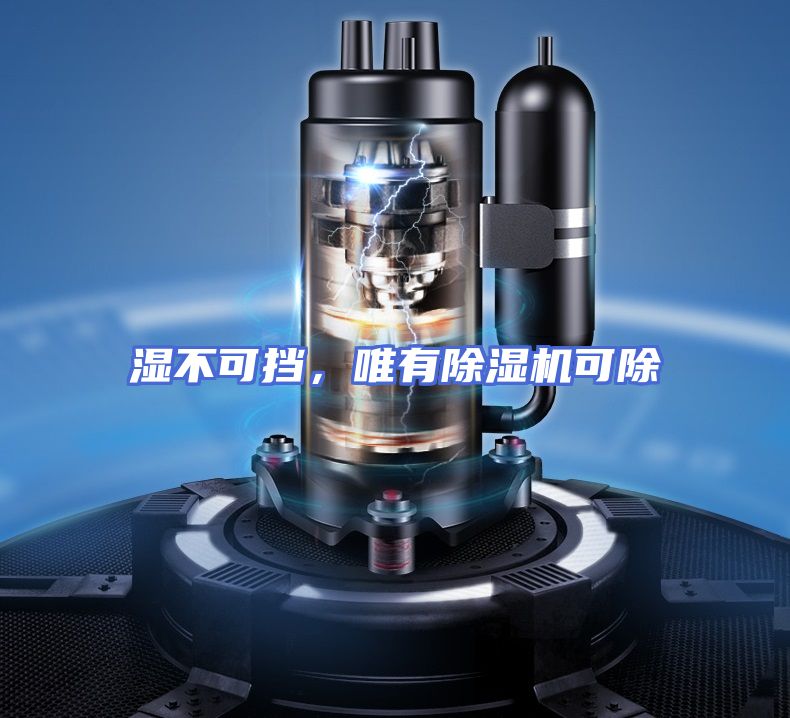 湿不可挡,唯有除湿机可除