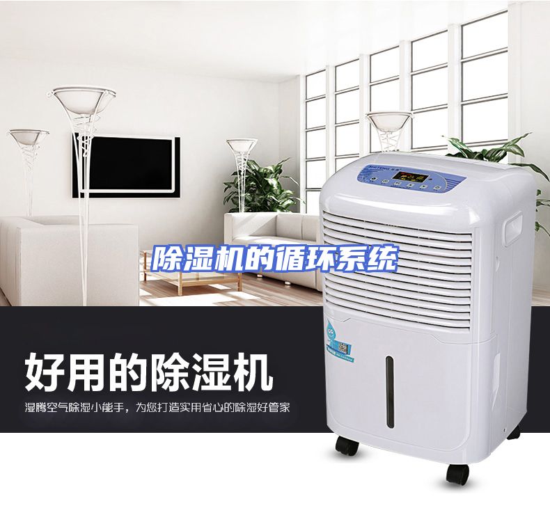 除湿机的循环系统