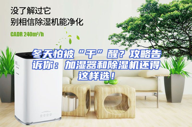 冬天怕被“干”醒？攻略告诉你：加湿器和除湿机还得这样选！