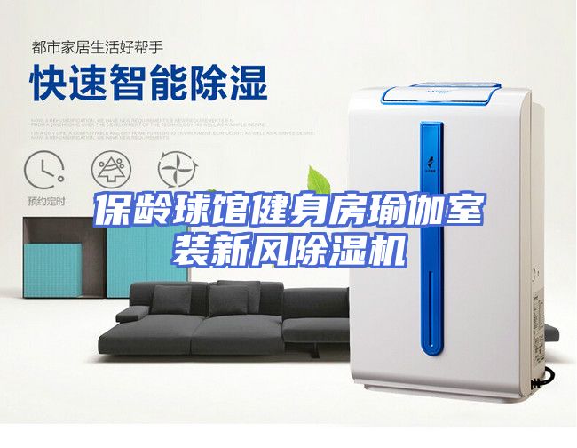 保龄球馆健身房瑜伽室装新风除湿机