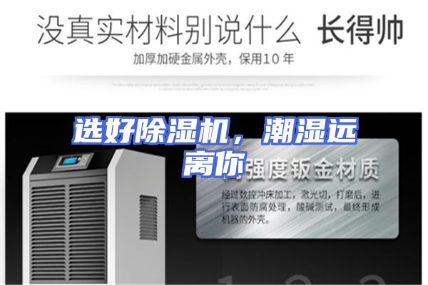 选好除湿机，潮湿远离你