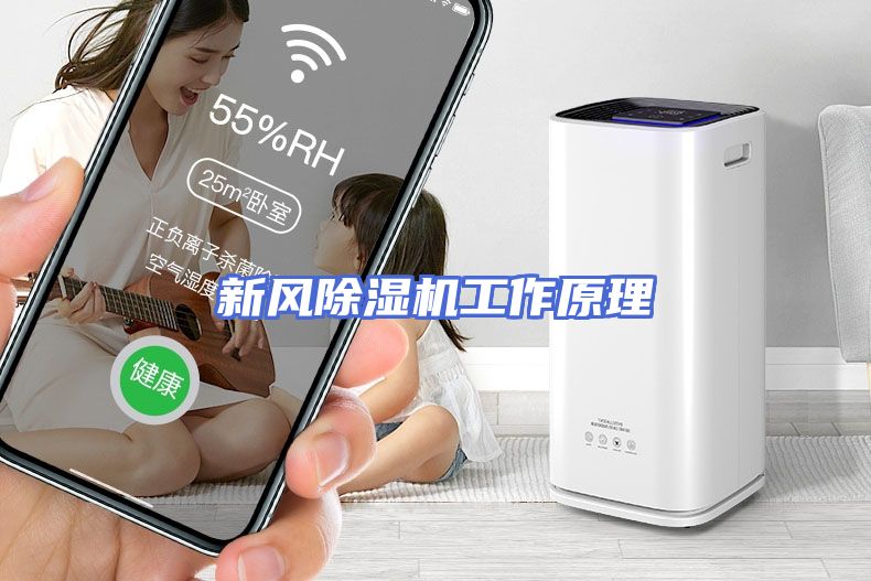 新风除湿机工作原理