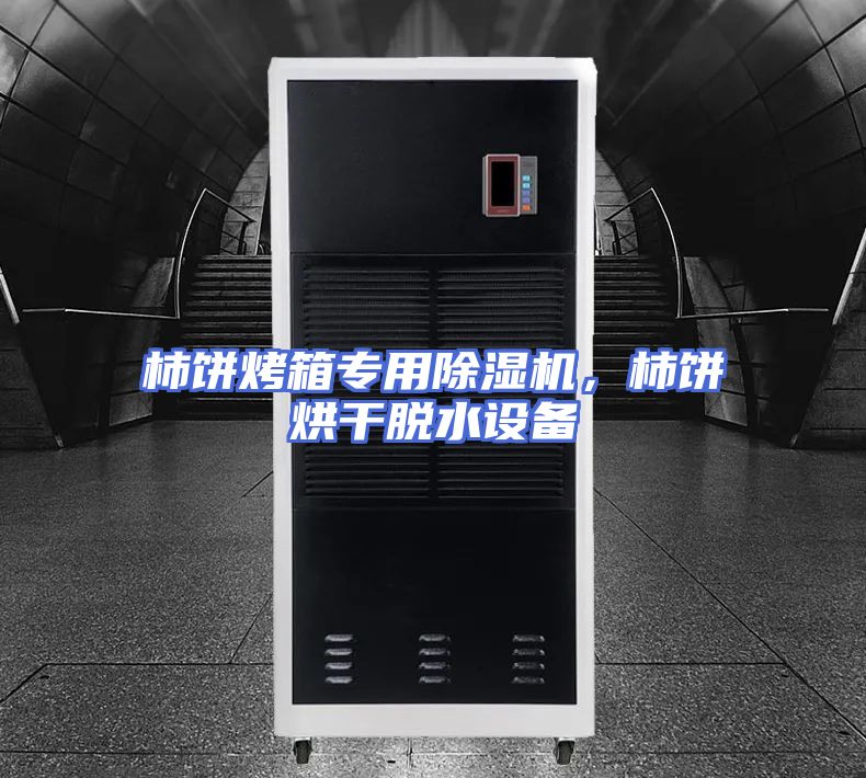 柿饼烤箱专用除湿机，柿饼烘干脱水设备