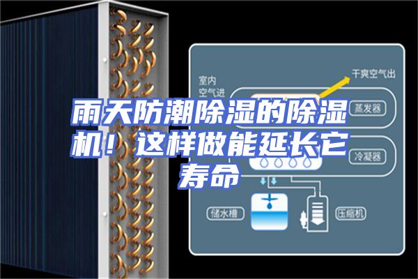 雨天防潮除湿的除湿机！这样做能延长它寿命