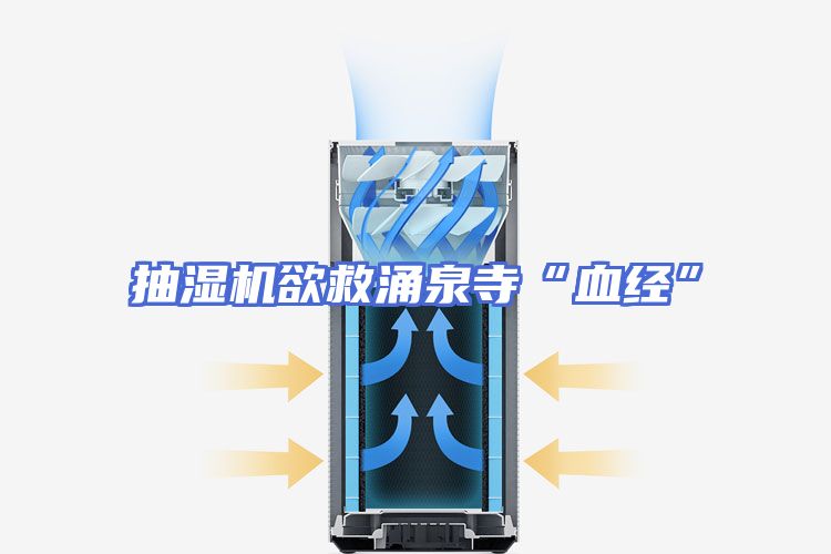 抽湿机欲救涌泉寺“血经”